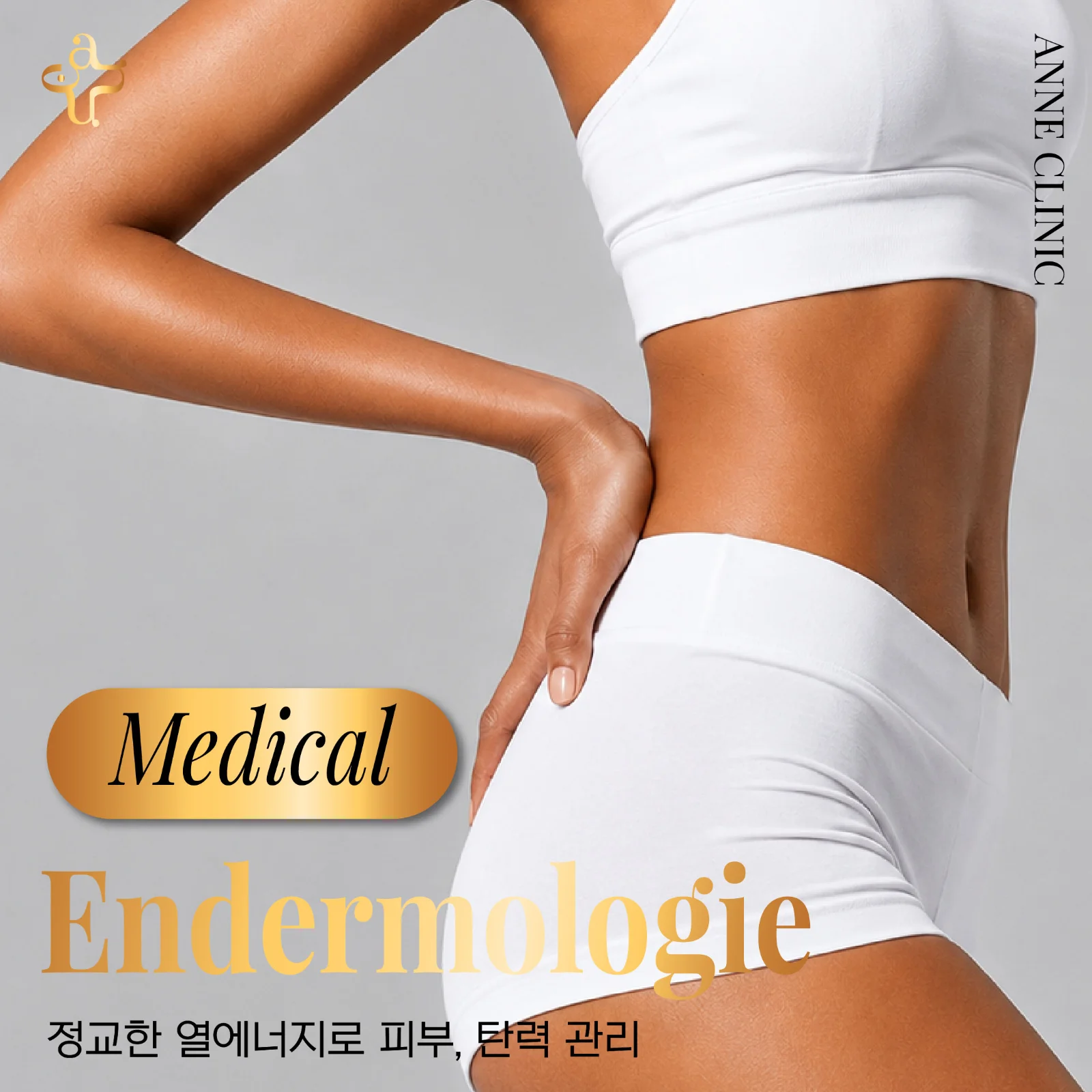 메디컬 버젼 엔더몰로지